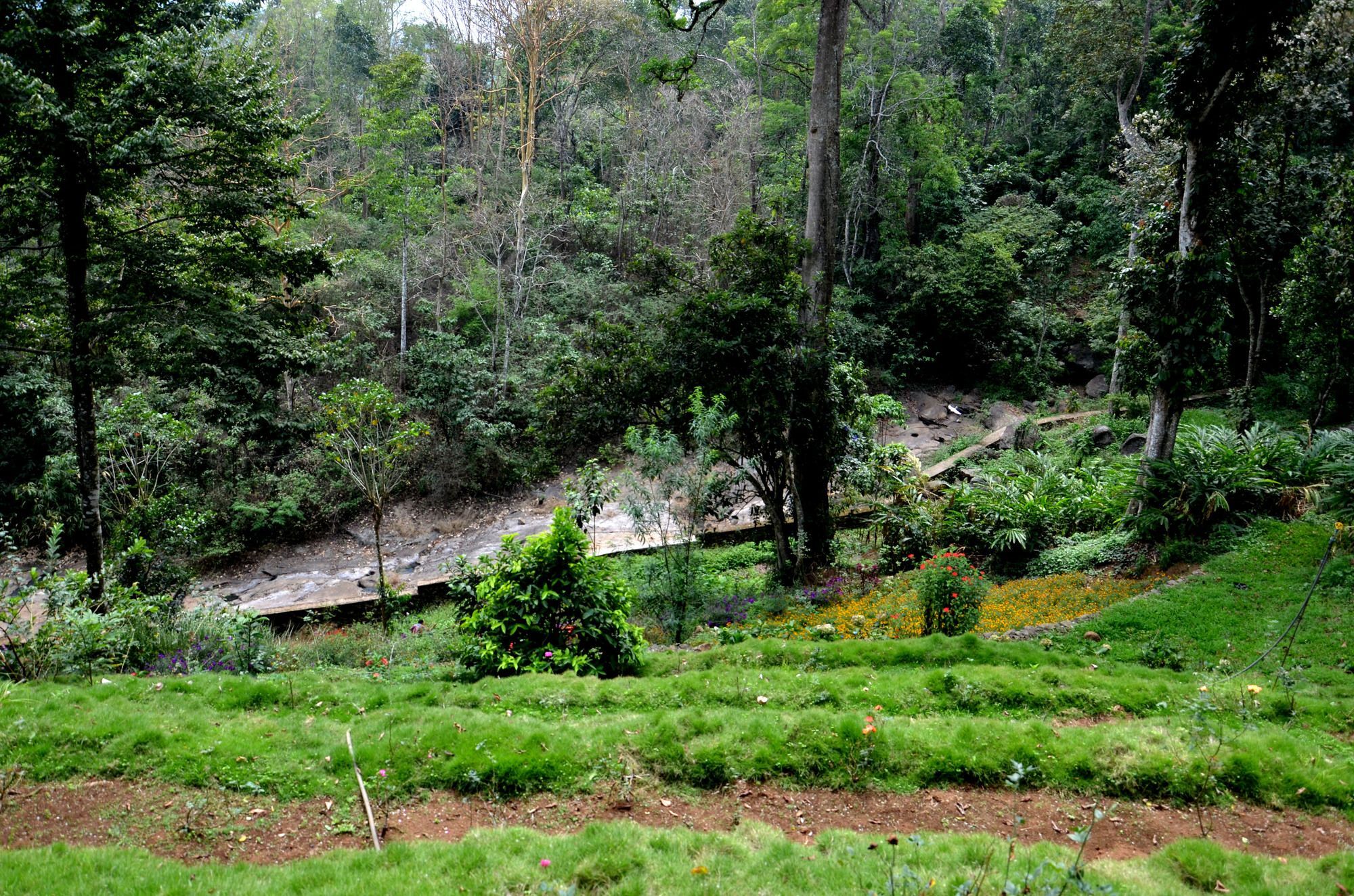 Hotel Bamboo Dale Munnar Zewnętrze zdjęcie